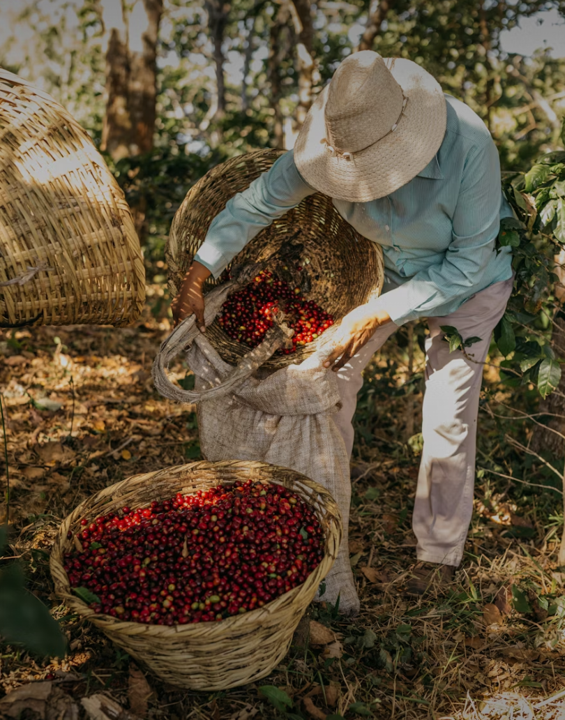 THE FARMER